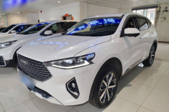 哈弗F7 2020款 1.5T 两驱i潮