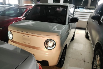 吉利银河 2023款 熊猫mini 200km 耐力熊