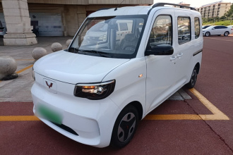 五菱汽车 五菱之光新能源 2025款 305km 进取型