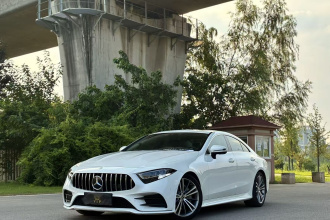 奔驰CLS 2021款 CLS 300 动感型