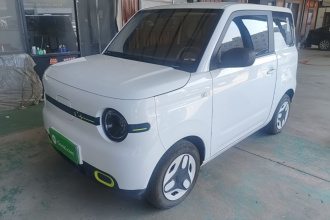 吉利银河 2025款 熊猫mini 210km 元气熊