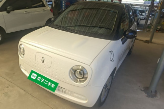 欧拉黑猫 2022款 301km 萌动型 磷酸铁锂