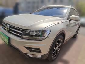 大众 途观L 2019款 330TSI 自动两驱智动豪华版 国VI