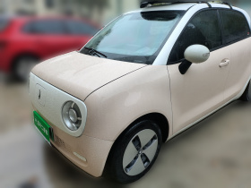 欧拉黑猫 2022款 301km 萌宠版 磷酸铁锂