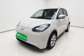 五菱汽车 五菱缤果 2023款 203km 轻享款