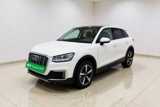 奥迪Q2L e-tron 2019款 Q2L e-tron 纯电智酷型