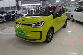 思皓 2022款 花仙子款 四叶草