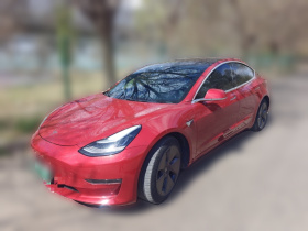 特斯拉 Model 3(进口) 2019款 长续航全轮驱动版