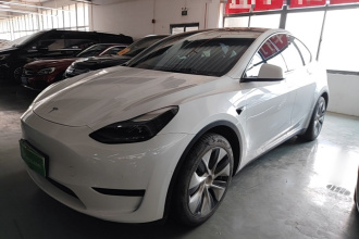 特斯拉 Model Y 2022款 后轮驱动版