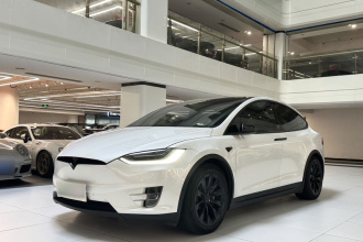 特斯拉 Model X 2019款 长续航版