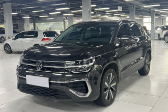 大众 途岳 2023款 300TSI 两驱皎月版