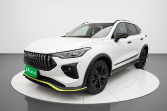 哈弗赤兔 2021款 激擎版 1.5T 黄金兔