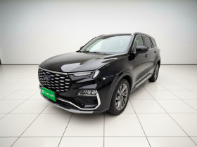 福特 领裕 2023款 EcoBoost 225 尊领型 7座（2/2/3）