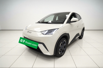 比亚迪 海鸥 2024款 荣耀版 305km 活力版