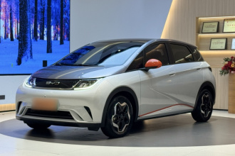 比亚迪 海豚 2021款 405km 时尚版