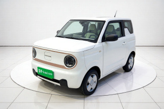 吉利银河 2024款 熊猫mini 200km 耐力熊