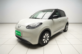 五菱汽车 五菱缤果 2023款 203km 舒享款