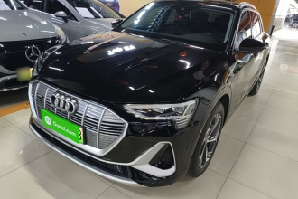 奥迪e-tron 2021款 50 quattro 臻选型