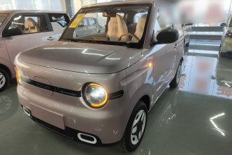 吉利银河 熊猫 2025款 210km 元气熊