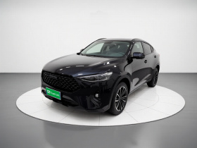 哈弗F7x 2019款 1.5T 两驱极智潮玩版