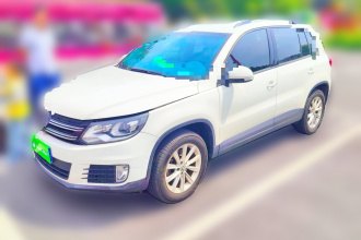 大众 途观 2016款 280TSI 自动两驱丝绸之路风尚版