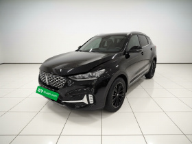 魏牌 VV6 2021款 2.0T 两驱智享+