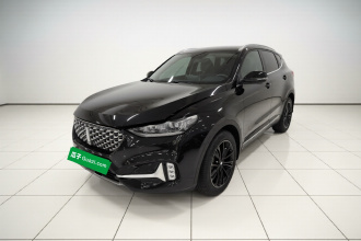 魏牌 VV6 2021款 2.0T 两驱智享+