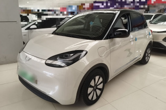 五菱汽车 五菱缤果 2023款 333km 悦享+款
