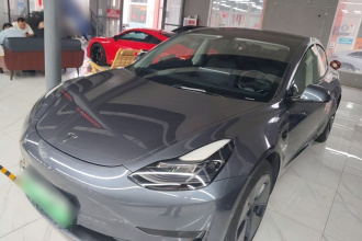 特斯拉 Model 3 2021款 改款 标准续航后驱升级版 3D1