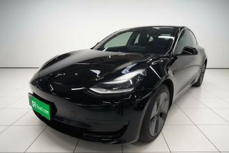 特斯拉 Model 3 2020款 标准续航后驱升级版
