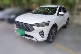 哈弗F7 2020款 2.0T 两驱i范