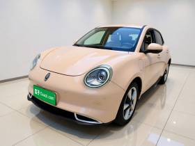 欧拉好猫 2021款 400km标准续航 雅典娜版 磷酸铁锂