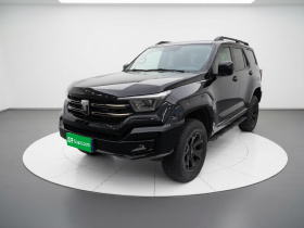 坦克400 2025款 2.0T 汽油版