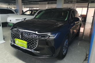 林肯 冒险家 2024款 2.0T 两驱尊享版