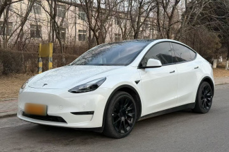特斯拉 Model Y 2021款 标准续航后驱版