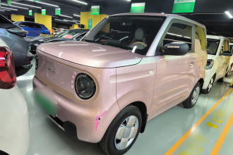 吉利银河 2024款 熊猫mini 200km 耐力熊