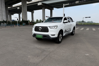 长城 炮 2021款 2.0T商用版自动柴油两驱精英型长箱GW4D20M