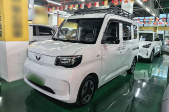 五菱汽车 五菱之光新能源 2025款 305km 进取型