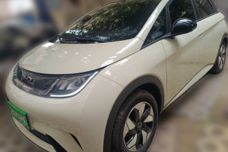 比亚迪 海豚 2024款 荣耀版 420km 时尚版