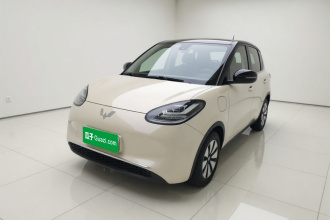五菱汽车 五菱缤果 2023款 333km 灵犀互联+款