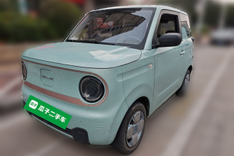 吉利银河 2023款 熊猫mini 200km 耐力熊