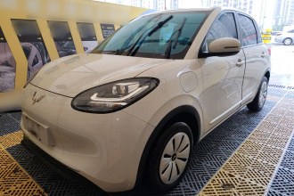 五菱汽车 五菱缤果 2024款 203km 轻享款