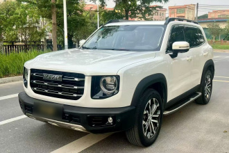 哈弗大狗 2021款 1.5T DCT两驱边牧版