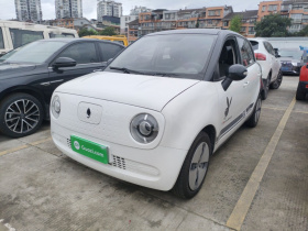 欧拉黑猫 2019款 301km 标准版