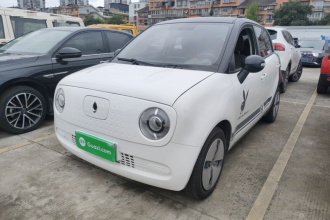 欧拉黑猫 2019款 301km 标准版