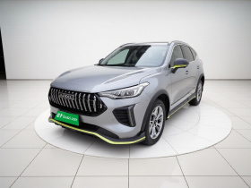 哈弗赤兔 2022款 劲享版 1.5T 紫铜兔