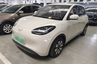 五菱汽车 五菱缤果 2023款 333km 灵犀互联+款