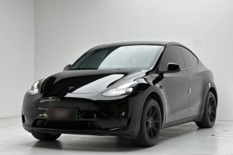 特斯拉 Model Y 2022款 后轮驱动版