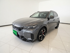 岚图汽车 岚图FREE 2025款 318 318km 后驱环游版