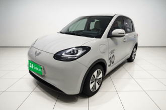 五菱汽车 五菱缤果 2023款 333km 快享款